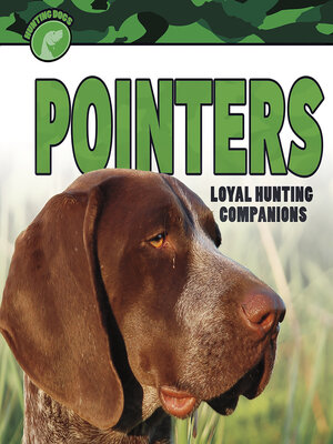 cover image of Pointers